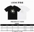 Loewe XS-L bhtx13 (14)