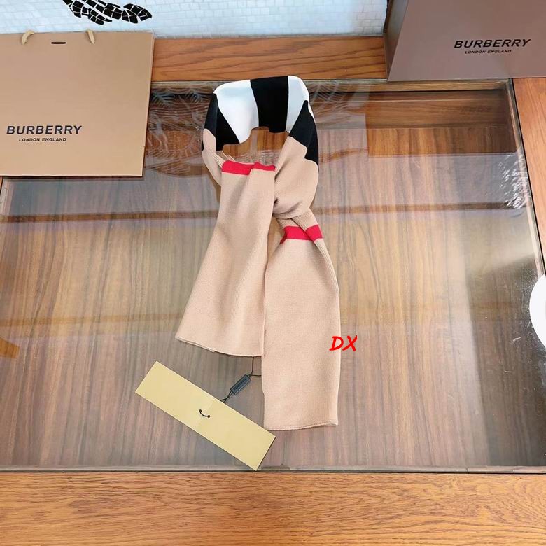 Burberry Scarf 19